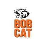 Bobcat