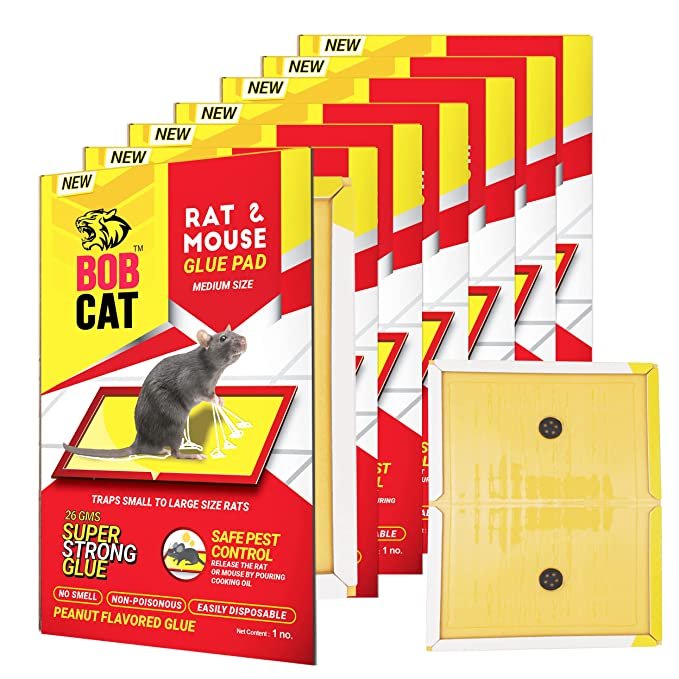 rat glue pad