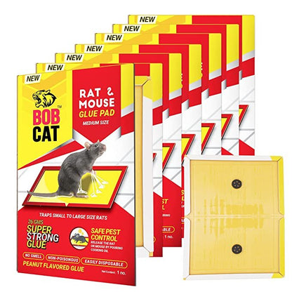 rat glue pad