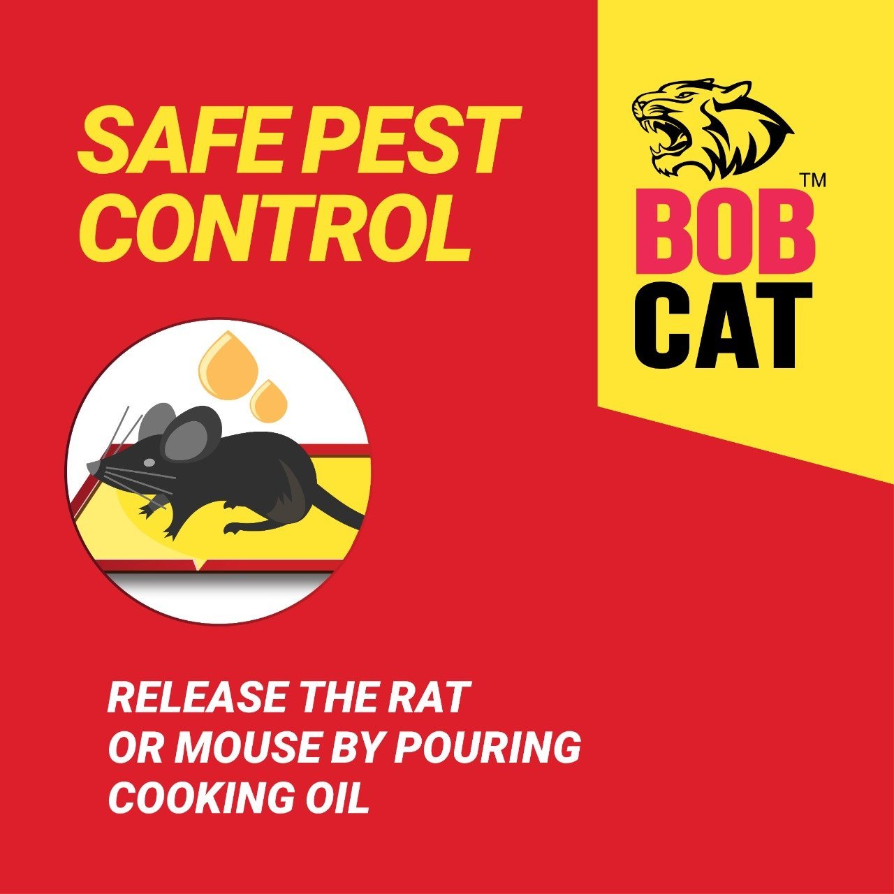 rat trap